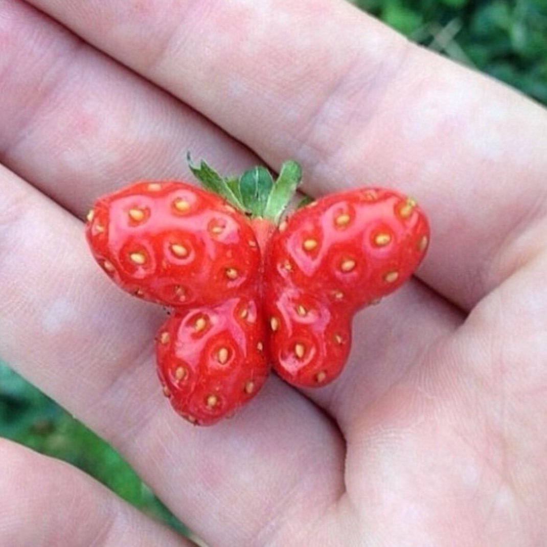 Be Fit Snacks